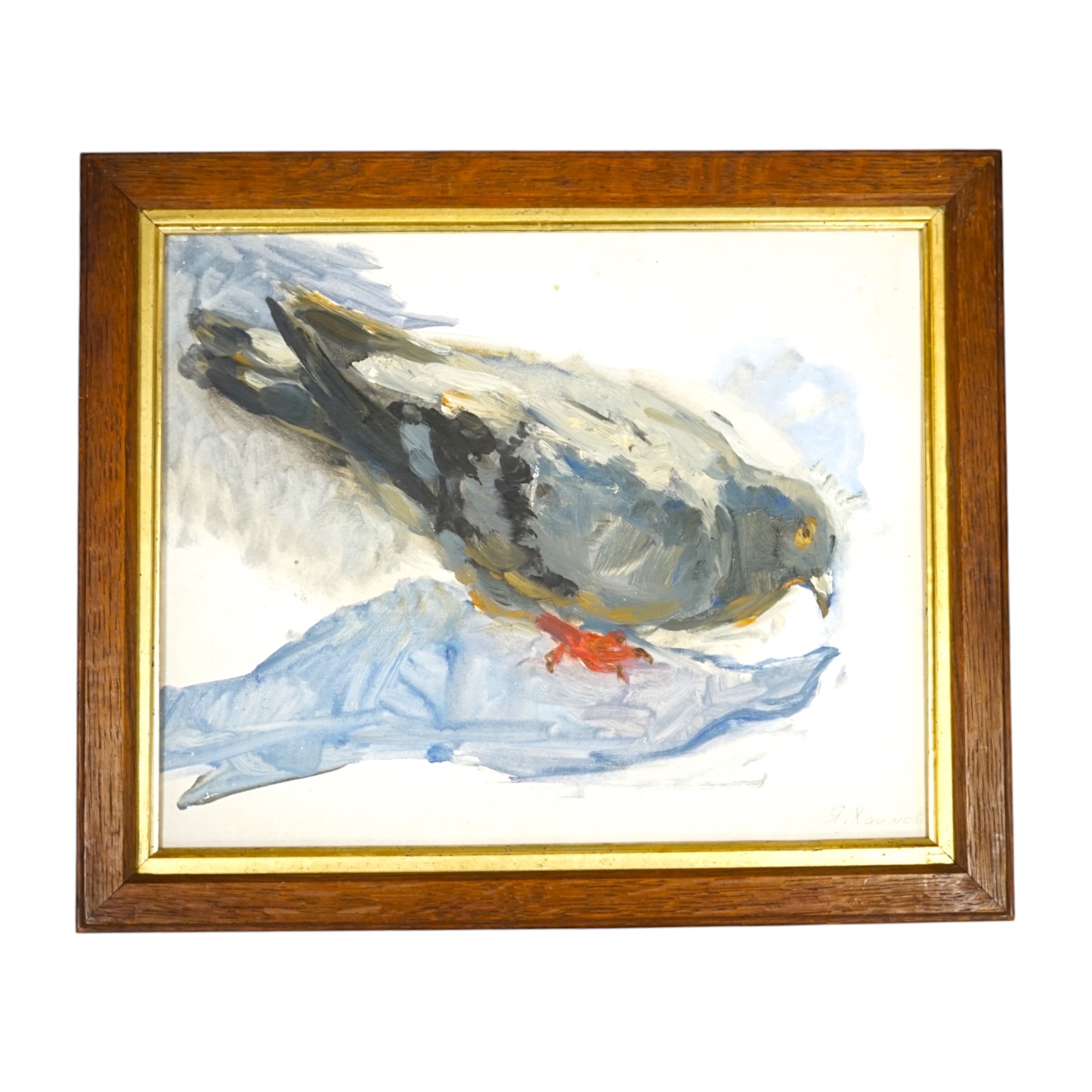 Yakov Markovich, Russian oil on canvas board, Study of a pigeon, signed, 24 x 30cm. Condition - good